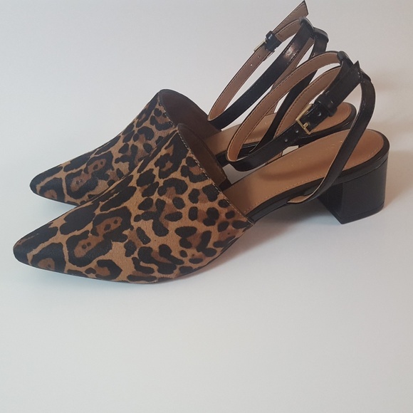 calvin klein ginetta